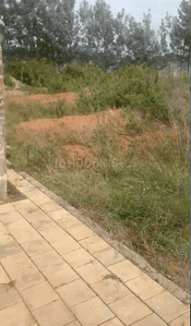 Image of 1500 Sq.ft Residential Plot / Land for sale in H Cross, Chikballapur District for Rs. 4675000
