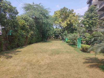 Playing Area Image of 1800 Sq.ft 3 BHK Builder Floor for sale in Pali Faridabad for Rs. 25000000