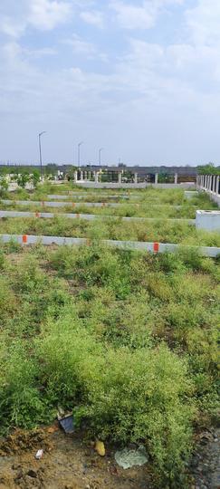 Bothali Main Image 1