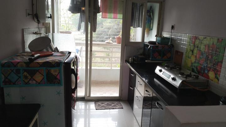 Golden palm society Main Image 1