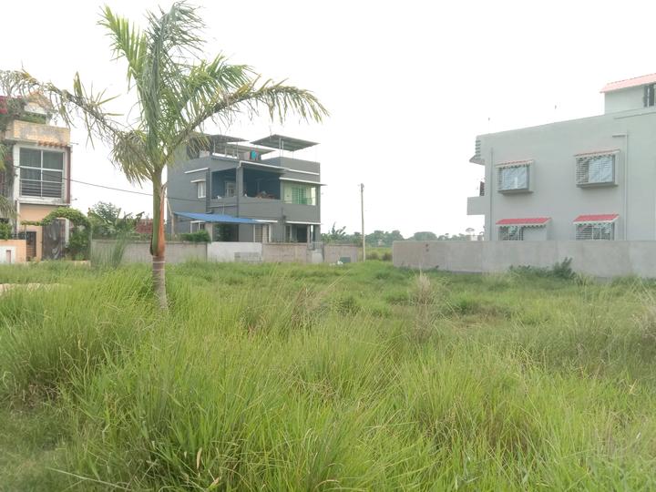 Diamond Park Main Image 1