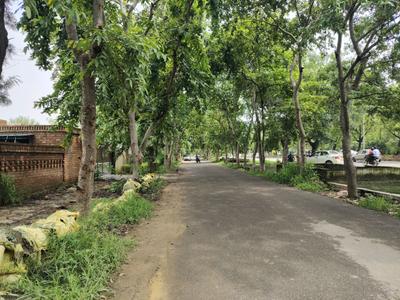 Residential Plot