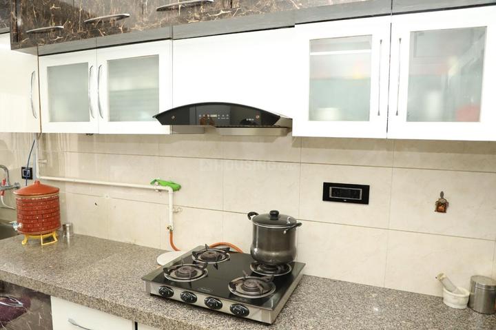 Orchid Paradise Main Image 1