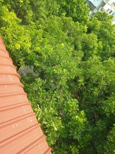 Image of 500 Sq.ft 1.5 BHK Builder Floor for rent in Dilshad Garden, New Delhi for Rs. 16000