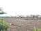 Perne Main Image 1