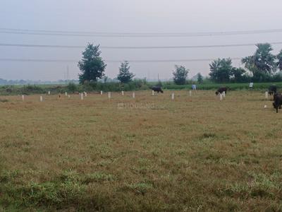 Bihta Plot View 2