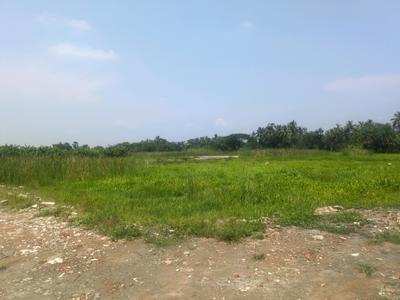 Residential Plot
