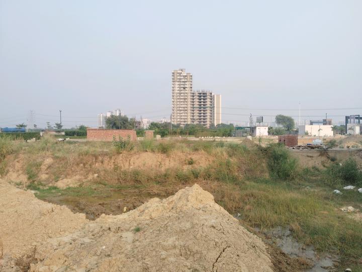 Skywhales Vienna Greens II Main Image 1