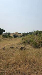 Image of 6000 Sq.ft Residential Plot / Land for sale in Kikvi, Pune for Rs. 1100500