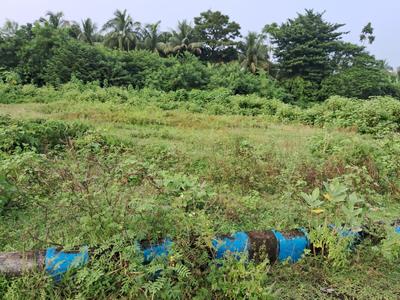 Image of 2160 Sq.ft Residential Plot / Land for sale in Chinar Park, Kolkata for Rs. 6500000