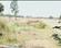 Sarai Gulharia Plot View 2