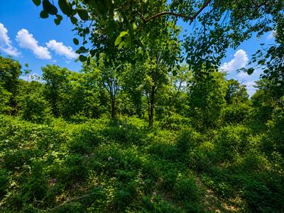 Image of 322 Sq.ft Residential Plot / Land for sale in Kuthal Gaon, Dehradun for Rs. 17388000