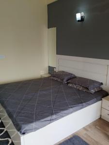 Bedroom Image of 435 Sq.ft 1 RK Studio for sale in Paramount Pine And Oak Studio, Surajpur Greater Noida for Rs. 3000000