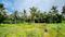 Arookutty Main Image 1