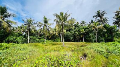 Image of 436 Sq.ft Residential Plot / Land for sale in Arookutty, Kochi for Rs. 375000