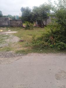 Image of 1710 Sq.ft Residential Plot / Land for sale in Haldwani, Nainital for Rs. 5985000