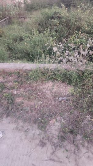 Mahi society kudasan Main Image 1