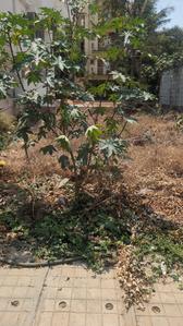 Image of 1440 Sq.ft Residential Plot / Land for sale in Horamavu, Bengaluru for Rs. 18000000