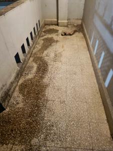 Balcony Image of 1250 Sq.ft 3 BHK Duplex for sale in Rachana Vihar, Narendra Nagar Nagpur for Rs. 8000000