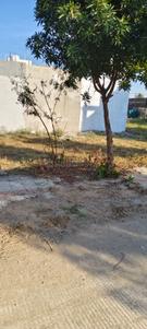 Venus Silicon City AA Plot View 3