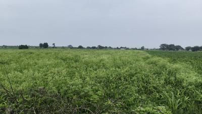 Image of 1800 Sq.ft Residential Plot / Land for sale in Aarone County Walk Plots, County Walk Township, Indore for Rs. 11700000