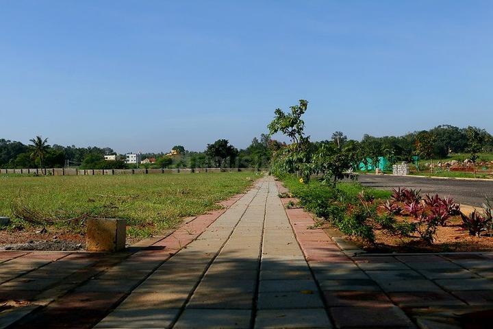 Ozone KNS Oasis Main Image 1