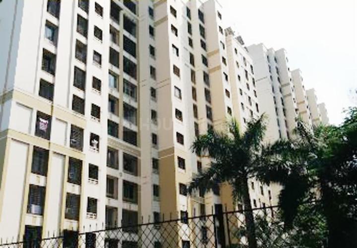 ACME Ozone Main Image 1