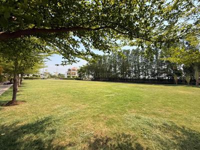 Image of 1200 Sq.ft Residential Plot / Land for sale in Old Dhamtari Road, Raipur for Rs. 3360000