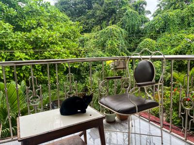 Balcony Image of 800 Sq.ft 1 BHK Apartment / Flat for rent in Vagator Goa for Rs. 30000