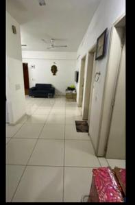 Bedroom Image of 1800 Sq.ft 2 BHK Apartment / Flat for rent in Paldi Ahmedabad for Rs. 22000