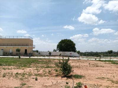 Residential Plot