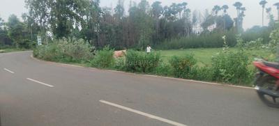 Image of 100 Sq.ft Residential Plot / Land for sale in Vedullanarava, Visakhapatnam for Rs. 1800000