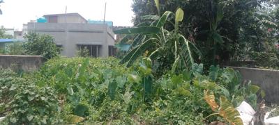 ICHAPUR PRANTIK Plot View 3