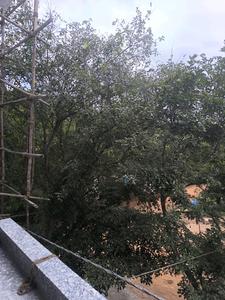 Bedroom Three Image of 3150 Sq.ft 5 BHK Apartment / Flat for sale in Vajarahalli Bengaluru for Rs. 29000260