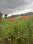 Danagalli Plot View 2