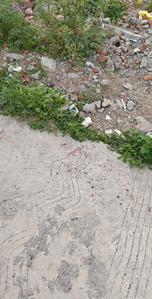 Image of 1488 Sq.ft Residential Plot / Land for sale in Prem Nagar, Dehradun for Rs. 9100000