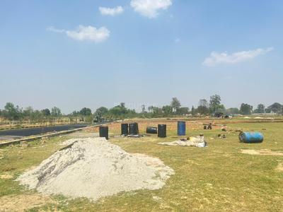 Barel Plot View 4