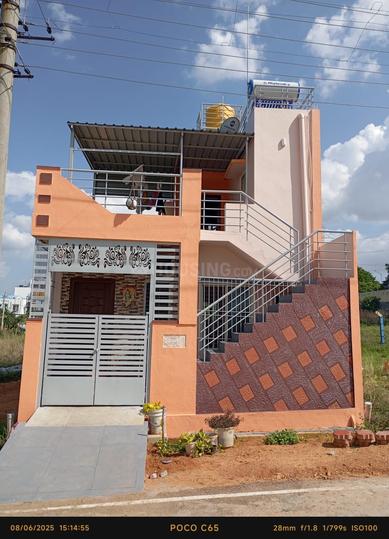 Golden palms by Rai Estates  Main Image 1