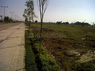 Residential Plot