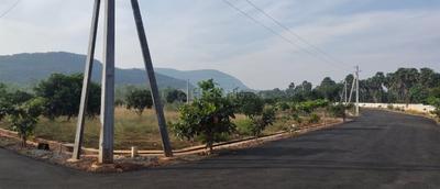 Image of 167 Sq.ft Residential Plot / Land for sale in Tallavalasa, Visakhapatnam for Rs. 2505000