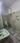 Bathroom Image of Saini PG  in Sector 34, Chandigarh