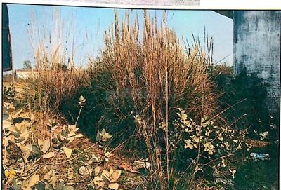 Image of 1800 Sq.ft Residential Plot / Land for sale in Banthra Sikander Pur, Lucknow for Rs. 3150000