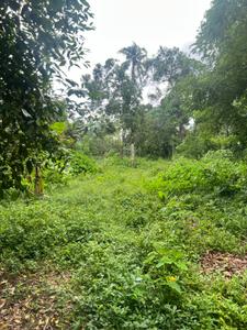 Image of 60934 Sq.ft Residential Plot / Land for sale in Angamaly, Kochi for Rs. 63000000