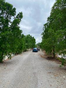 Image of 1300 Sq.ft Residential Plot / Land for sale in Naya Raipur, Raipur for Rs. 910000