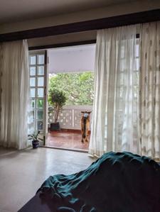 Bedroom Image of 3500 Sq.ft 4 BHK Apartment / Flat for rent in Halasuru Bengaluru for Rs. 130000