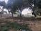 Kovalam Plot View 2