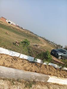 Image of 1250 Sq.ft Residential Plot / Land for sale in Maniram, Gorakhpur for Rs. 748750