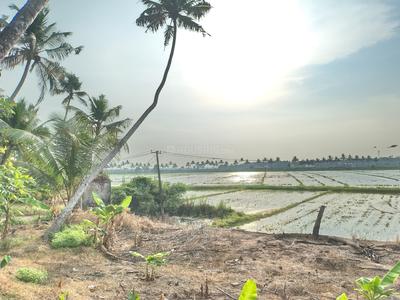 Image of 21780 Sq.ft Residential Plot / Land for sale in Cherpu, Thrissur for Rs. 7500000
