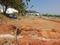 Siddamma layout Plot View 2