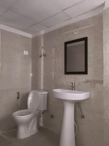 Common Bathroom Image of 1185 Sq.ft 3 BHK Apartment / Flat for rent in Terrace Homes, Noida Extension Greater Noida for Rs. 20000